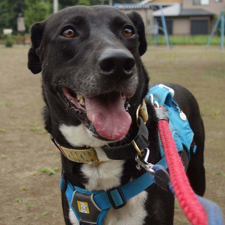 6e19de12 f83a 4435 8e57 90e657601704 1622335105495