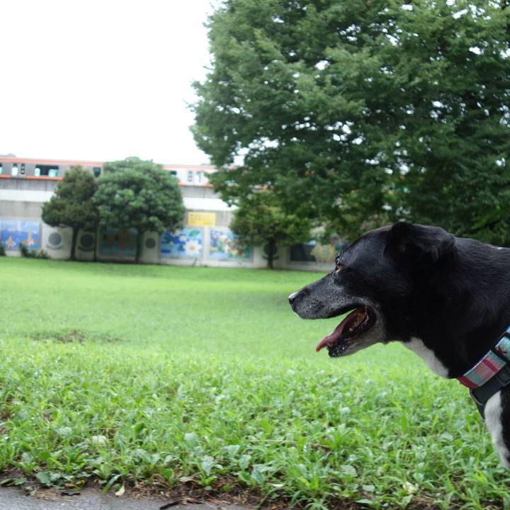 6e19e67e 4b35 4d10 8eb2 253be6e22d0d 1752534858951