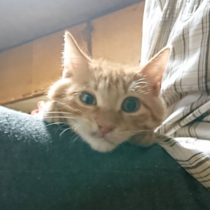 6e19f66d 825c 484a b392 86b791055928 1634381309874