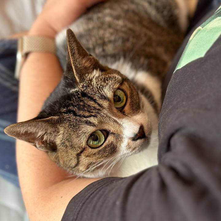 6e1a0127 2a50 4d28 b18a 75296b14ed8a 1663983614390