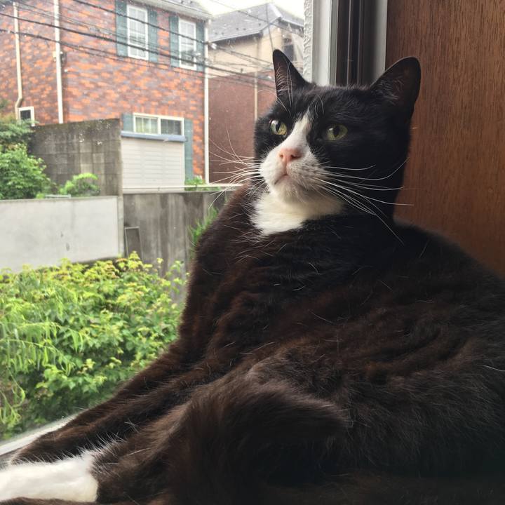 6e1a16f9 9bec 403c b77e 17f9b96a91f2 1562458795611