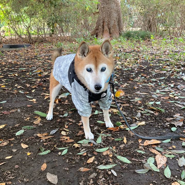 6e1aa130 ff53 4a8a 8776 8482227b1ac2 1762144516357