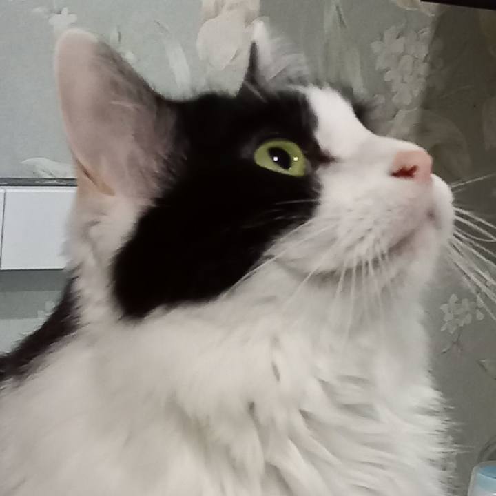 6e1aa7dc a04e 4204 93d9 24be30f1f245 1639175649396