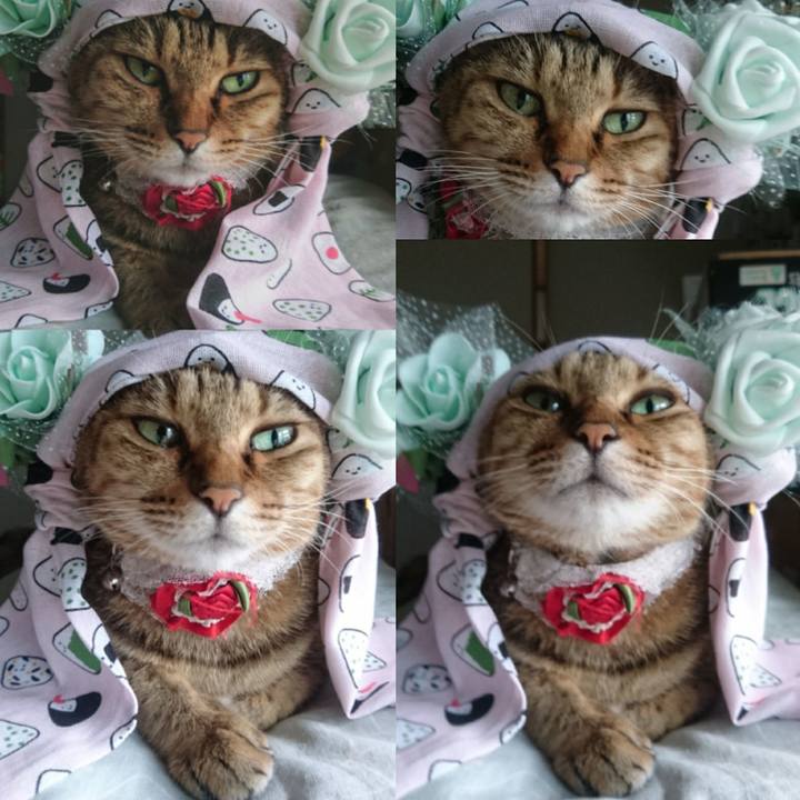 6e1aaad3 0af4 4a1d 8706 6671b6db3f1c 1769813199904