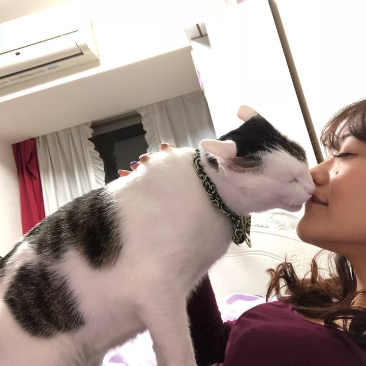 6e1aefbc 9d36 42ec 9134 e55eb7b38786 1541255072582