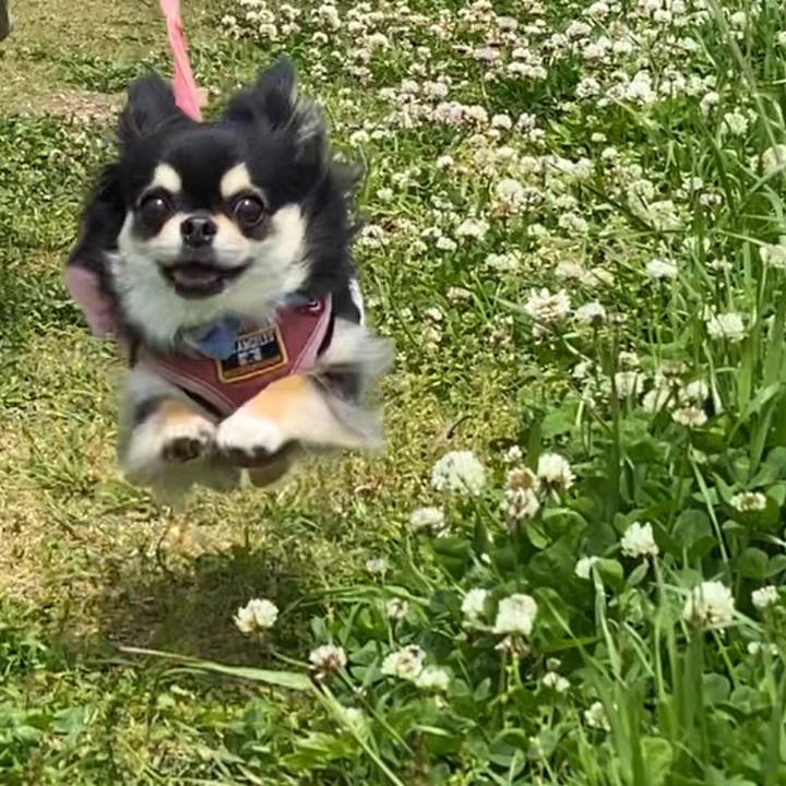 6e1af45e faf6 4053 982b 7ada3dd67bf7 1619754288109