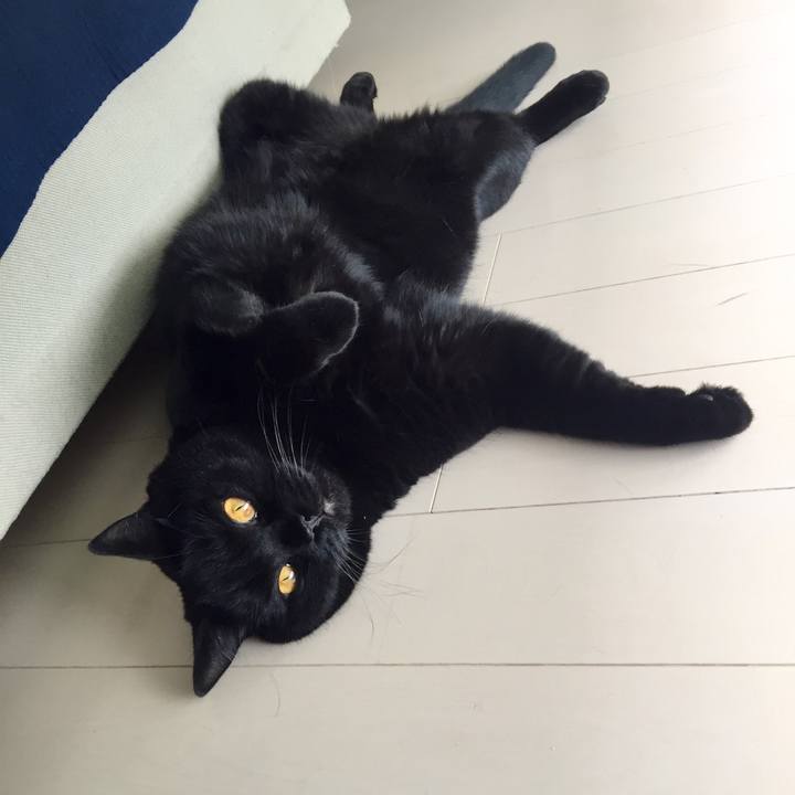 6e1afdee f3b9 43d9 adac 81e7efc79a07 1563937945302