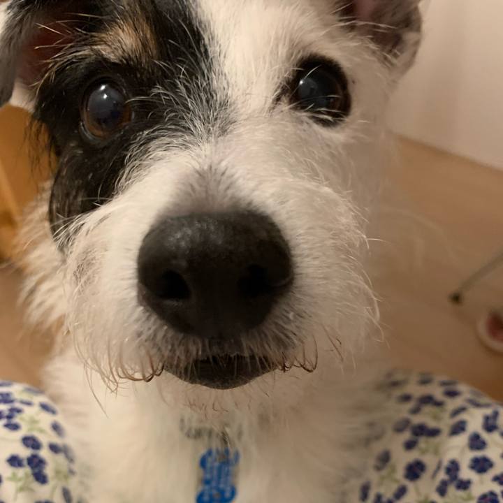 6e1b11ea 0d45 4740 a54e 24cb971f6cce 1726573097176