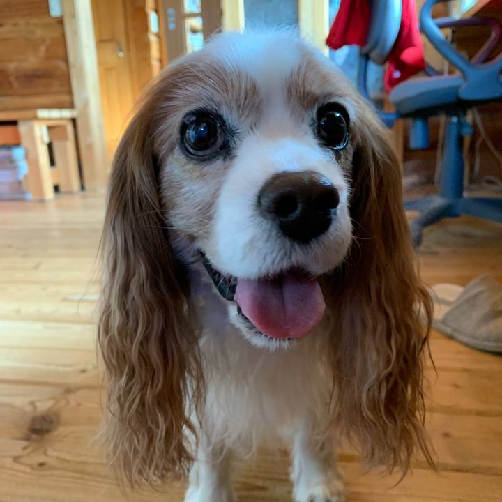 6e1b18d4 14b5 44d9 85f1 7c257988ab0a 1585624954441