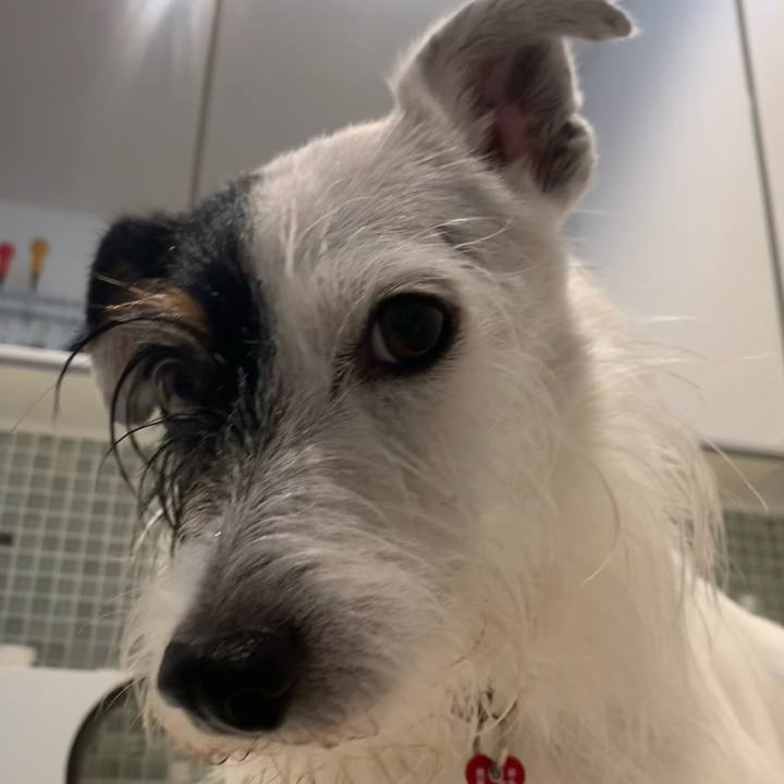 6e1b9195 ef87 45c2 8998 6300f4a64a92 1694215103196