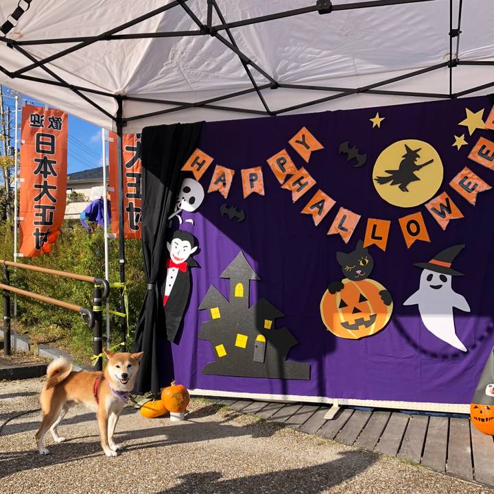 6e1bd66c c733 4797 9761 1187fd783266 1540708624368