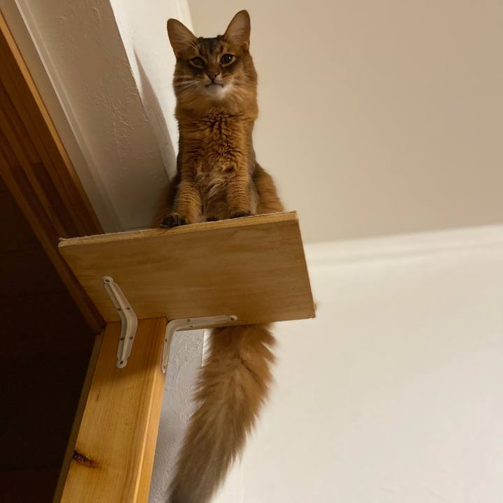 6e1be5da 89fa 48d1 854e 00eb9ffd2cda 1669986229732