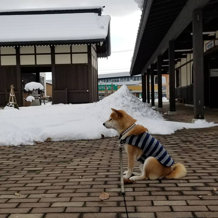 6e1c1e55 3f5f 49a7 8b09 895b16c02a70 1513227368162