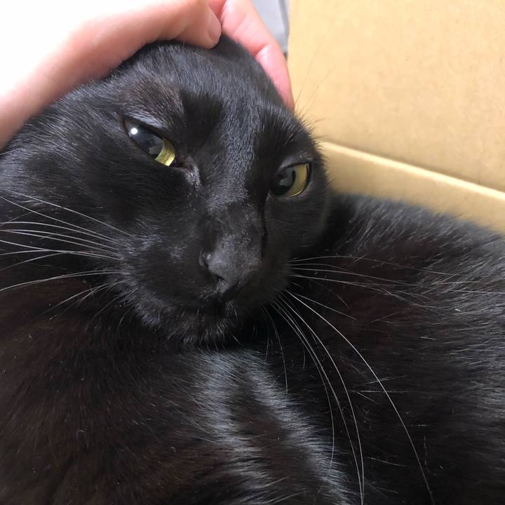 6e1c1e5d 6906 41e8 ab47 260db48360ab 1549456327892