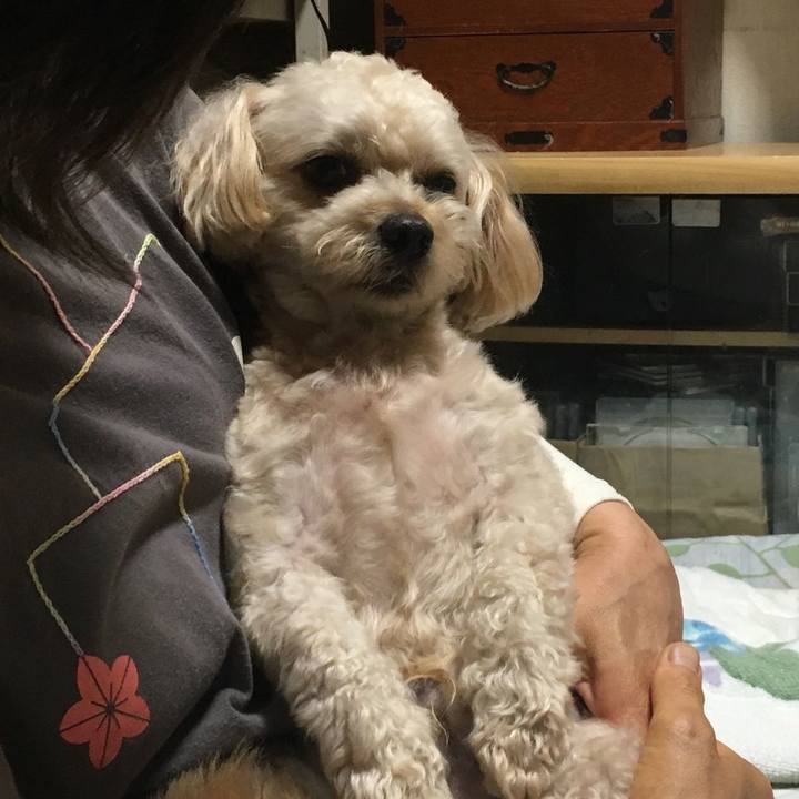 6e1c4e58 547e 427d 98ec 0db6eed481f3 1563633496471