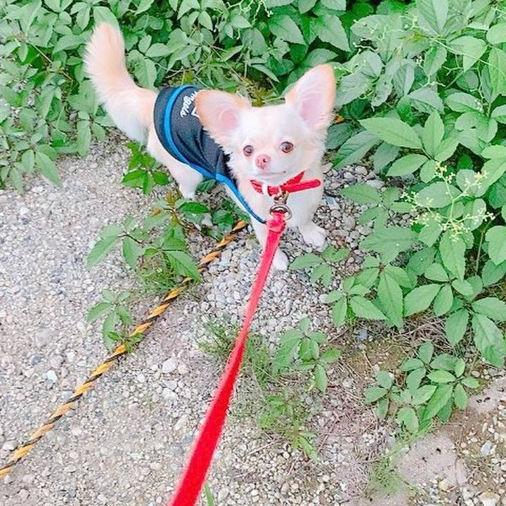 6e1c6c4d 389e 45ae a505 4e37d663c388 1629969653819