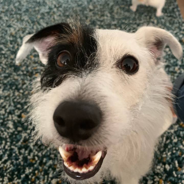 6e1c7b7c 3edb 4f00 b9aa 442d117fb084 1561624733678