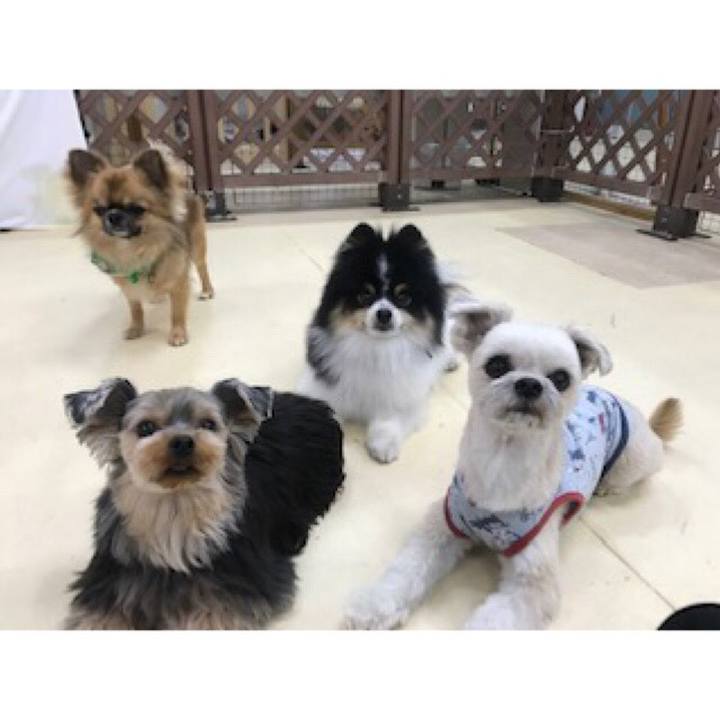 6e1c88a0 bf45 487e badc 9601e9b93c17 1552392763719