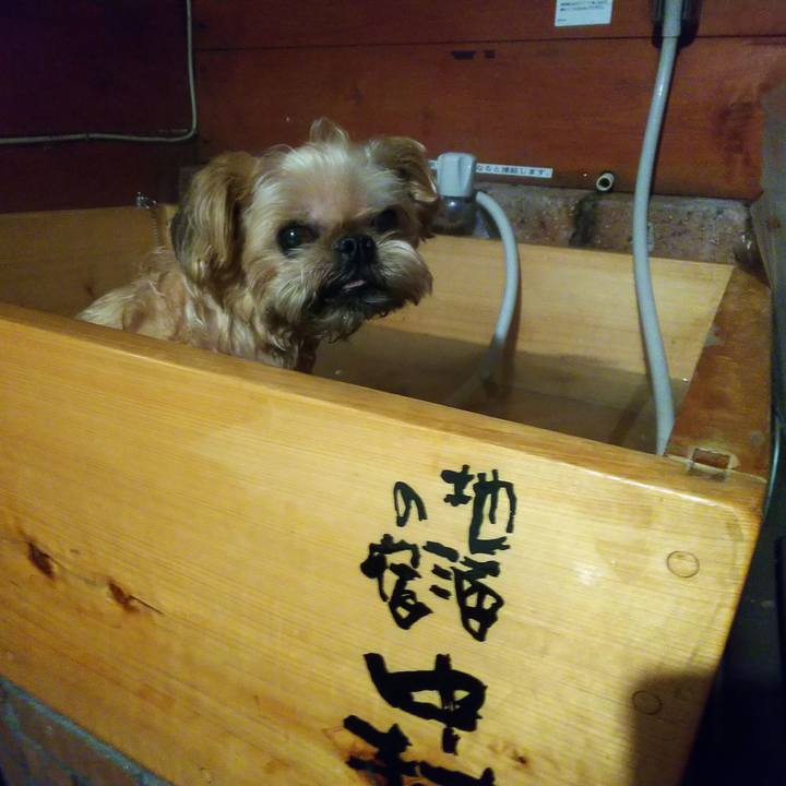 6e1c9b4c f90f 4b24 a361 90f78d216f84 1598668869671