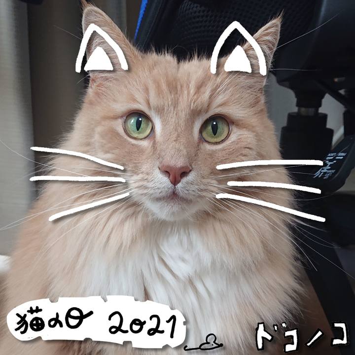 6e1c9cf1 88eb 42af b550 e1292056d213 1613959002338