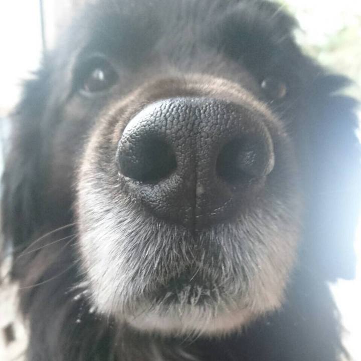 6e1cc175 4ad9 4012 bd02 abd1c2fc5692 1515211779982