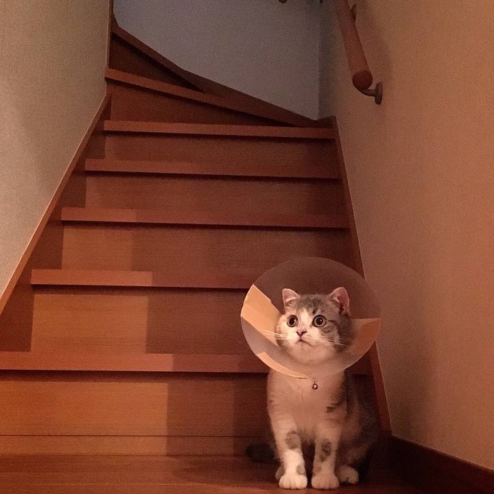 6e1cc726 9c2b 4ecb bc14 afe20b2c5bd4 1537782877593