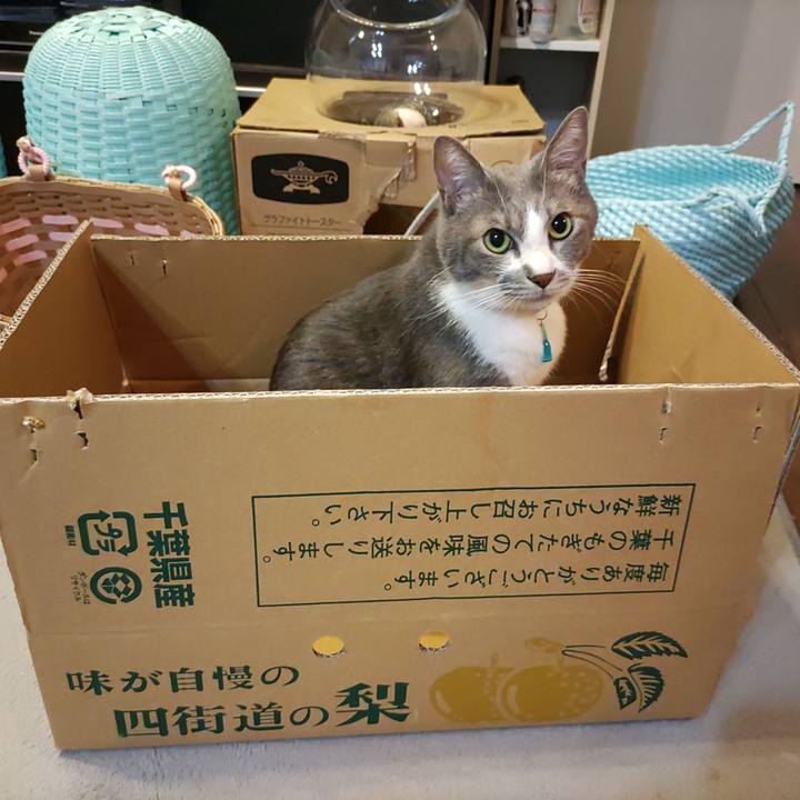 6e1cfdd6 ab42 4c1e 9a4a adbe06209efd 1661860948990