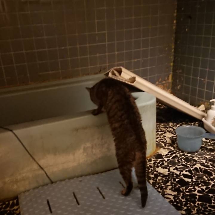 6e1d5264 806a 4d41 8e3d c73405c3459f 1573550950655