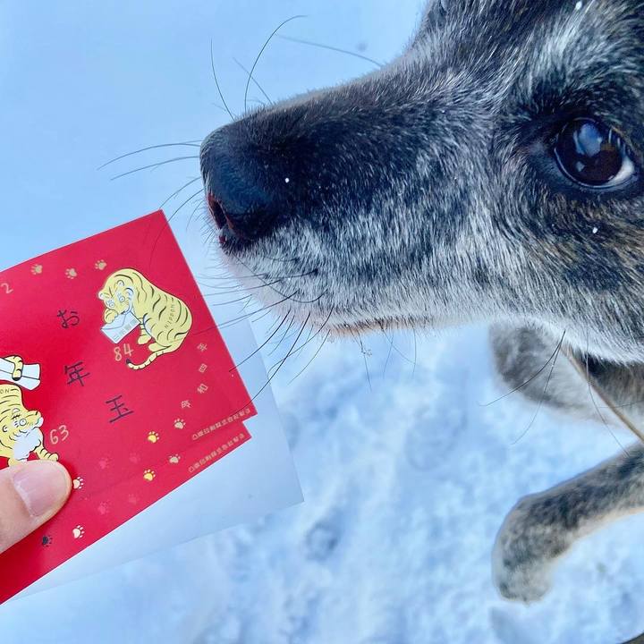 6e1d8312 7967 4b51 85c8 ec198156d792 1642746627417