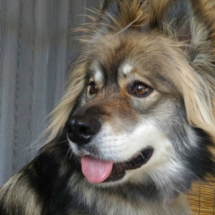 6e1d8769 d6e3 437e 876b 0801adc1ed96 1559062782933