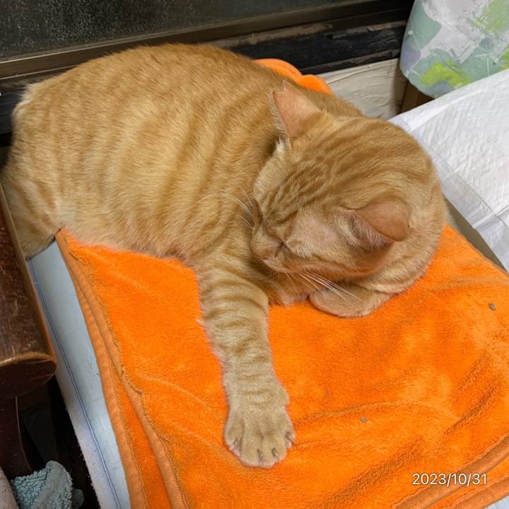 6e1d8e78 e12c 46ae 9cd7 830508d93d5e 1698703460119