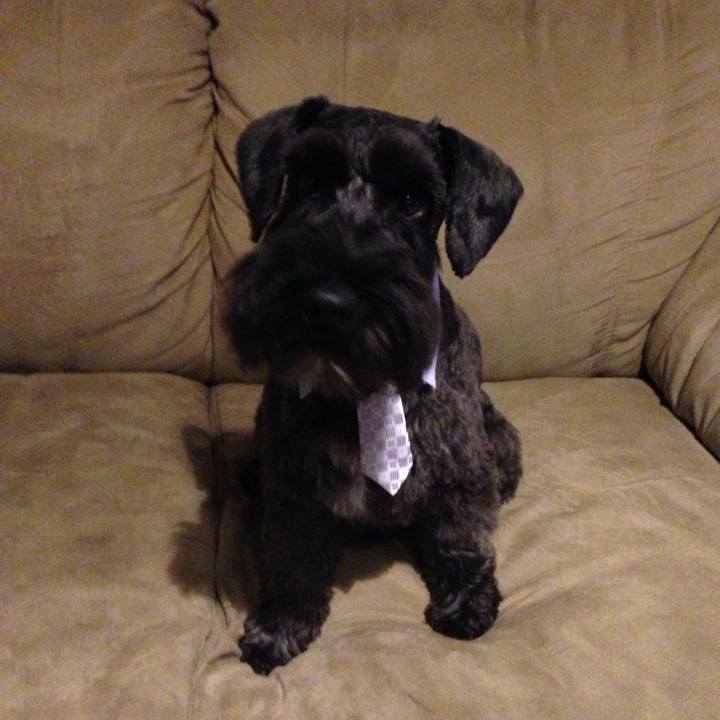 6e1dbe84 11e1 49ac b3b3 3a300a701c11 1764157410469