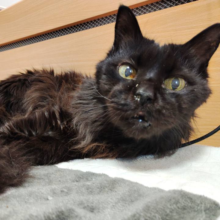 6e1e2609 5611 4a9f b6f3 6f2b0b9cfc7e 1767076934728