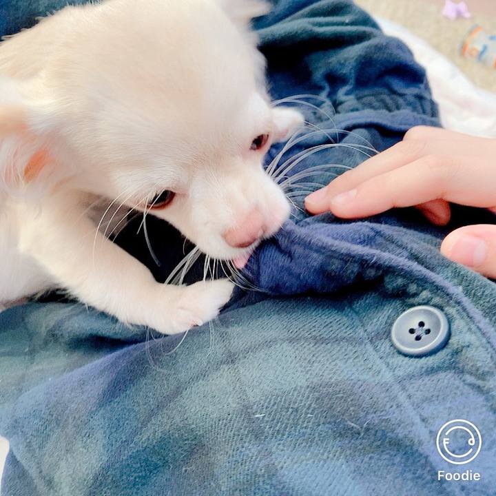 6e1e9635 a251 43cd 9287 64d7b5812b4c 1601502938408