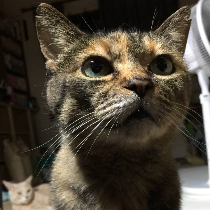 6e1ec9ec fa00 4492 9d6f eb1c6b9dc049 1565104983461