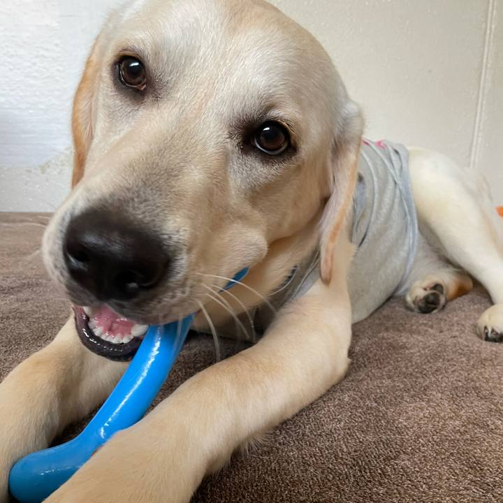 6e1ee85b 308c 4aea be21 2f039717e5ff 1626996981925