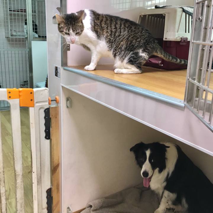 6e1f474a 1cfe 4859 aa18 cece3899e6c7 1530698504415