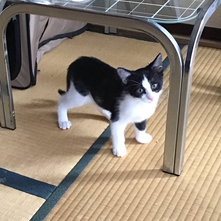 6e1f51b3 3f7b 4daf 9660 179327b4082b 1625449971810