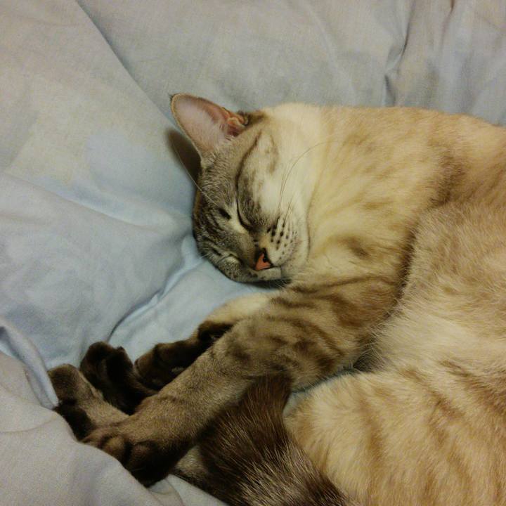 6e1f629f 0558 4a5e b45a 2f5b9b02549f 1523717778167