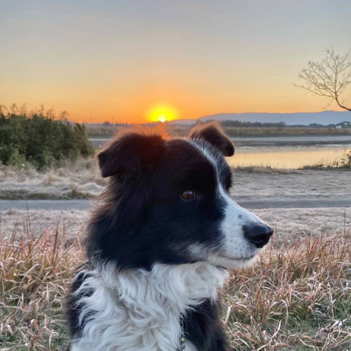 6e1f9968 03e3 4315 a5bc 4b9b4769f512 1640990004142