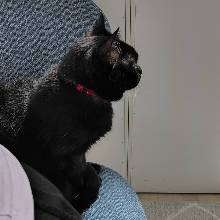 6e1fba90 b7aa 4866 986f 76f5d1e16638 1749034760443