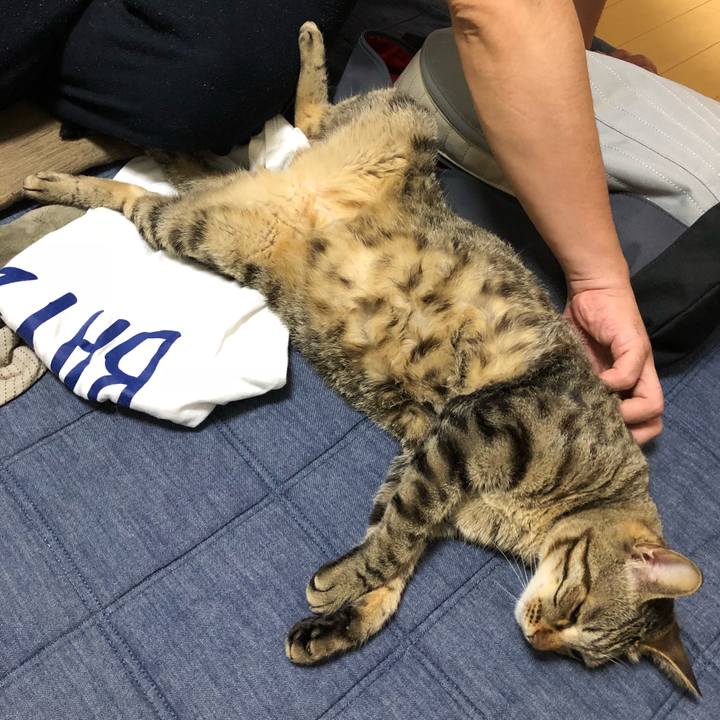 6e1fdd1f 8c10 4cba b9e5 2b41a6e97284 1525790827065