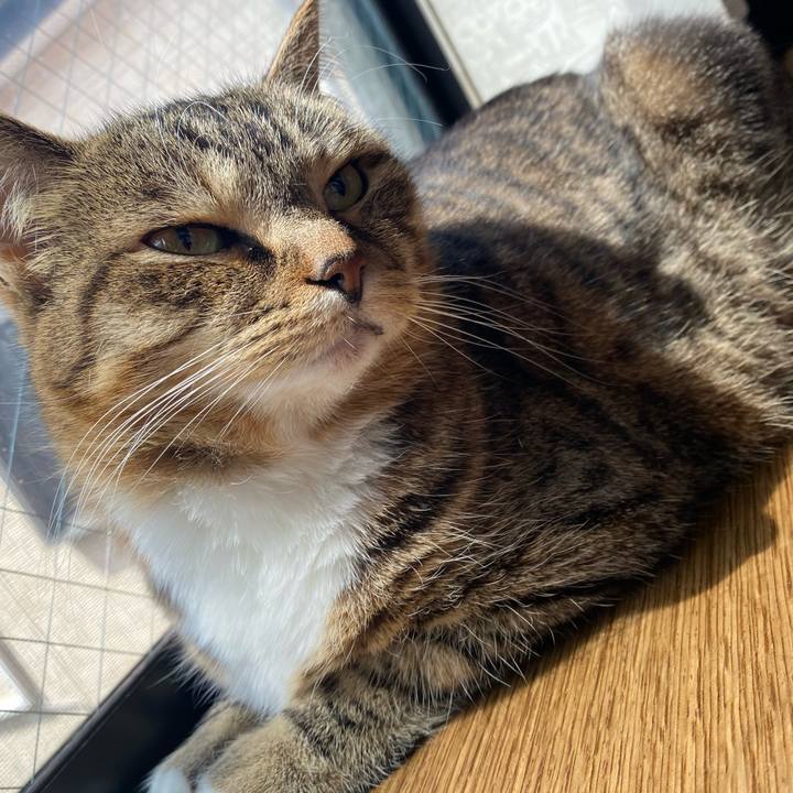 6e1feec8 64da 4bcd b399 c0fd8c64fe8e 1620003836012