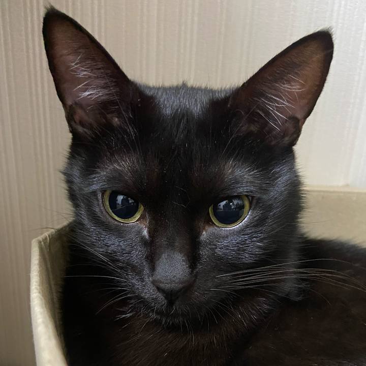 6e200325 f3f2 4655 a7c9 aa47b9f3f88e 1667217983169