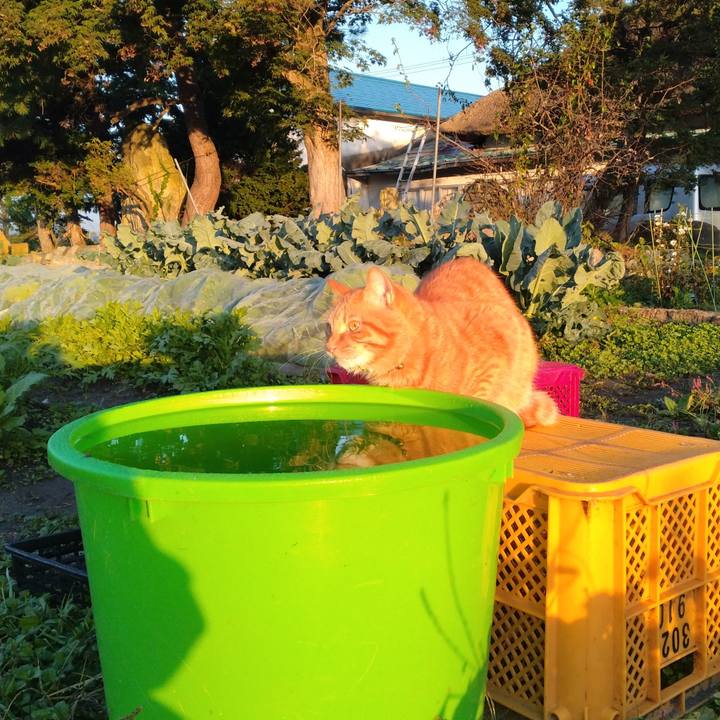 6e201c6a af58 4fb0 a247 5e42fc4e2c6e 1697578377704