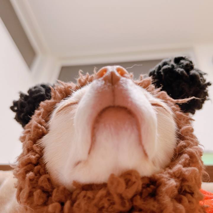 6e202c39 2563 4f5a b333 9d3bf516f623 1673922861159