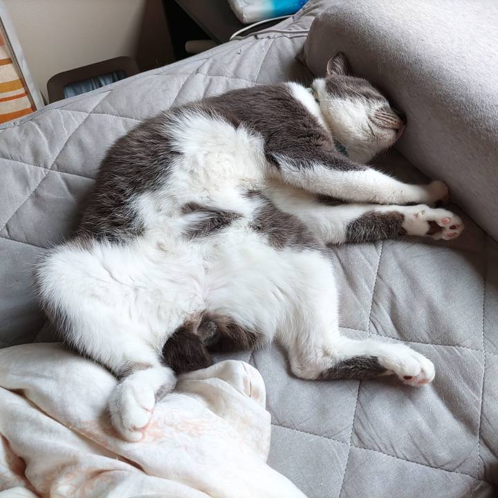 6e205749 9b6c 4864 ab62 59860372a642 1687738609954