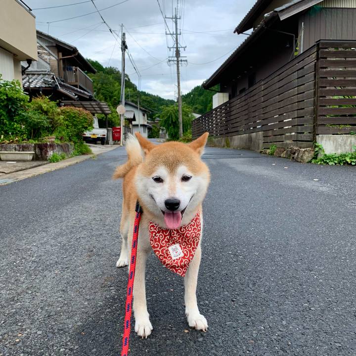 6e205fa8 73da 4277 9209 4fbb5d8d5b3a 1658826460262