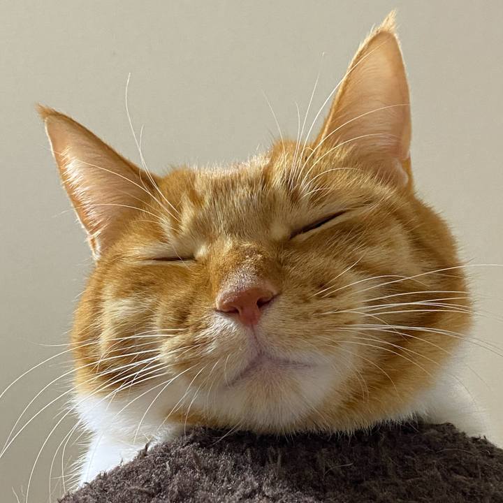 6e20817e 5572 4924 a0cb 6a440f5af392 1608353234064