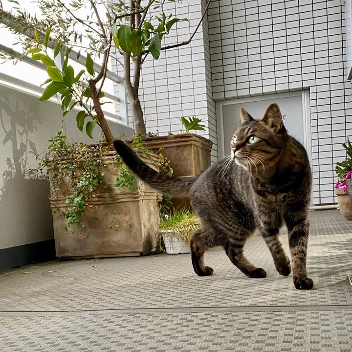 6e209b00 9659 4d34 844e bf50f5227c0f 1773789155015